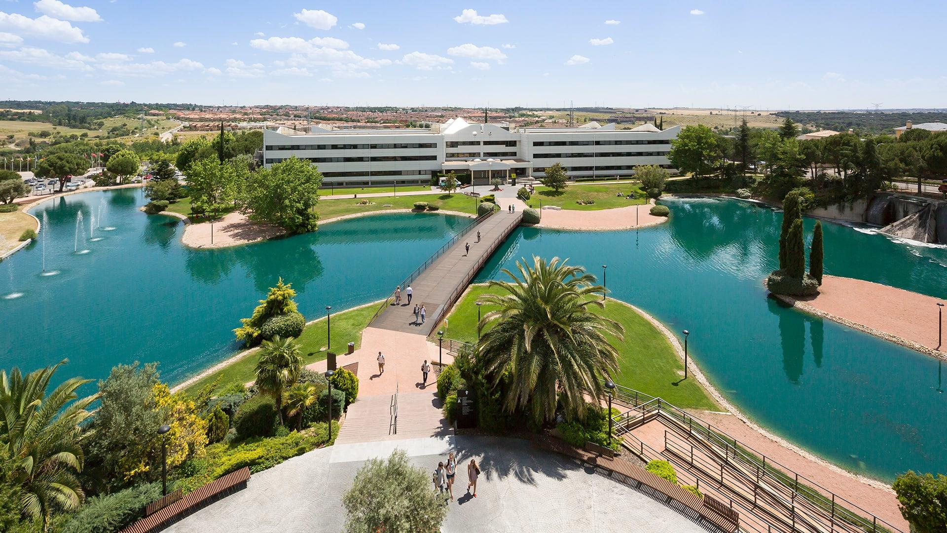 Olivares — Inversiones Lampaza SL
