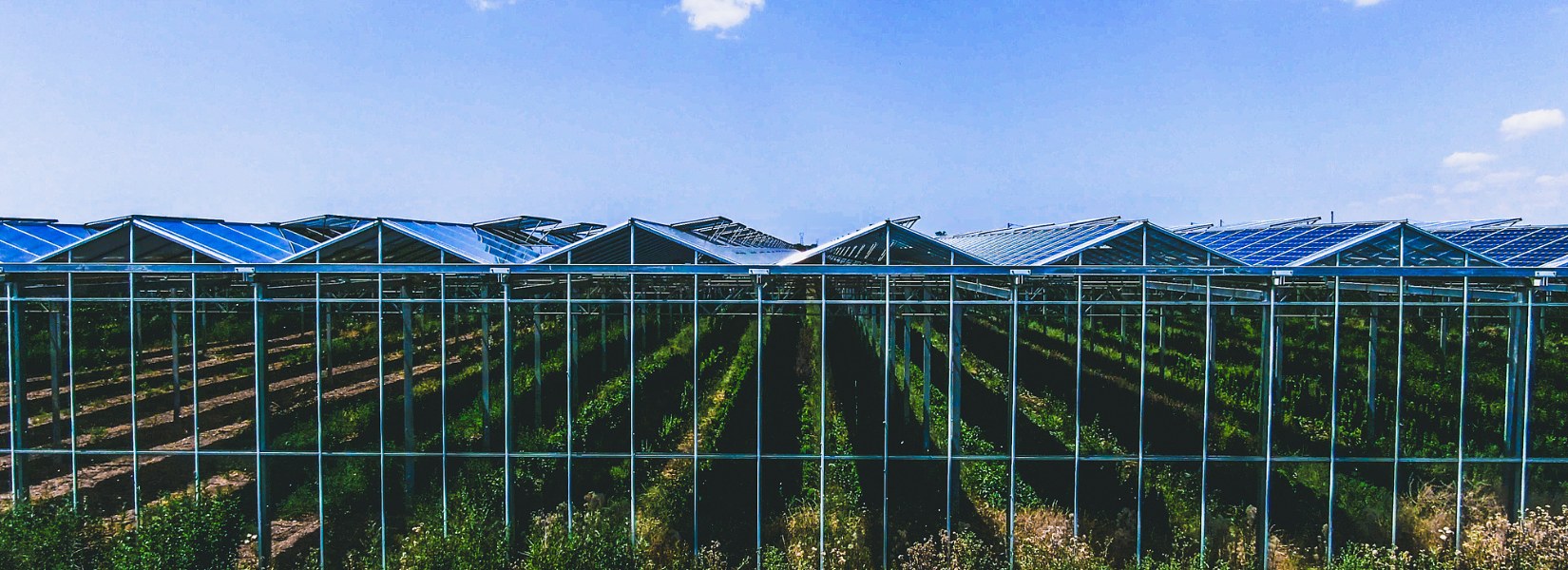 Centrale solaire de Val-d'Auge, en Charente