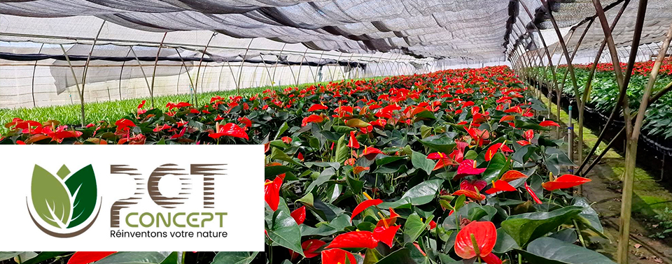 Pot Concept - Financement d'actifs de production agricole