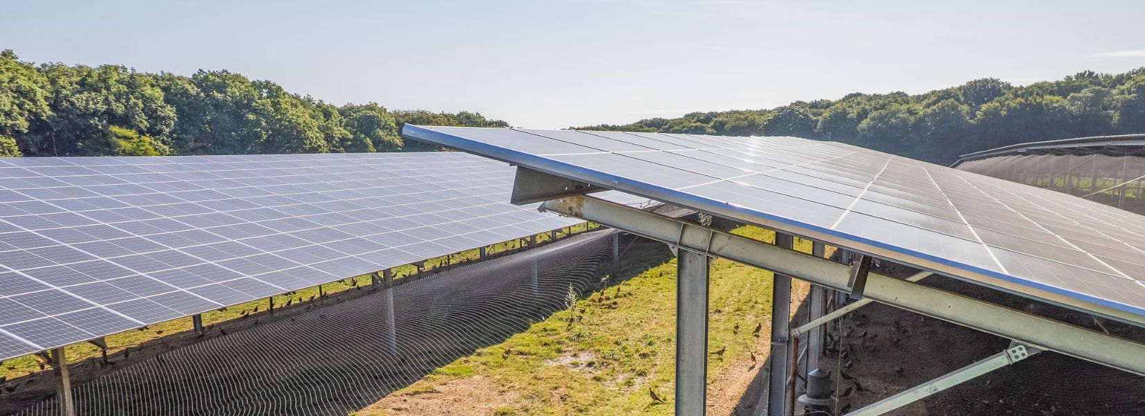 Centrale solaire à Loubès-Bernac, dans le Lot-et-Garonne
