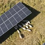 Projet Agrivoltaïque de Coutouvre dans la Loire (42)