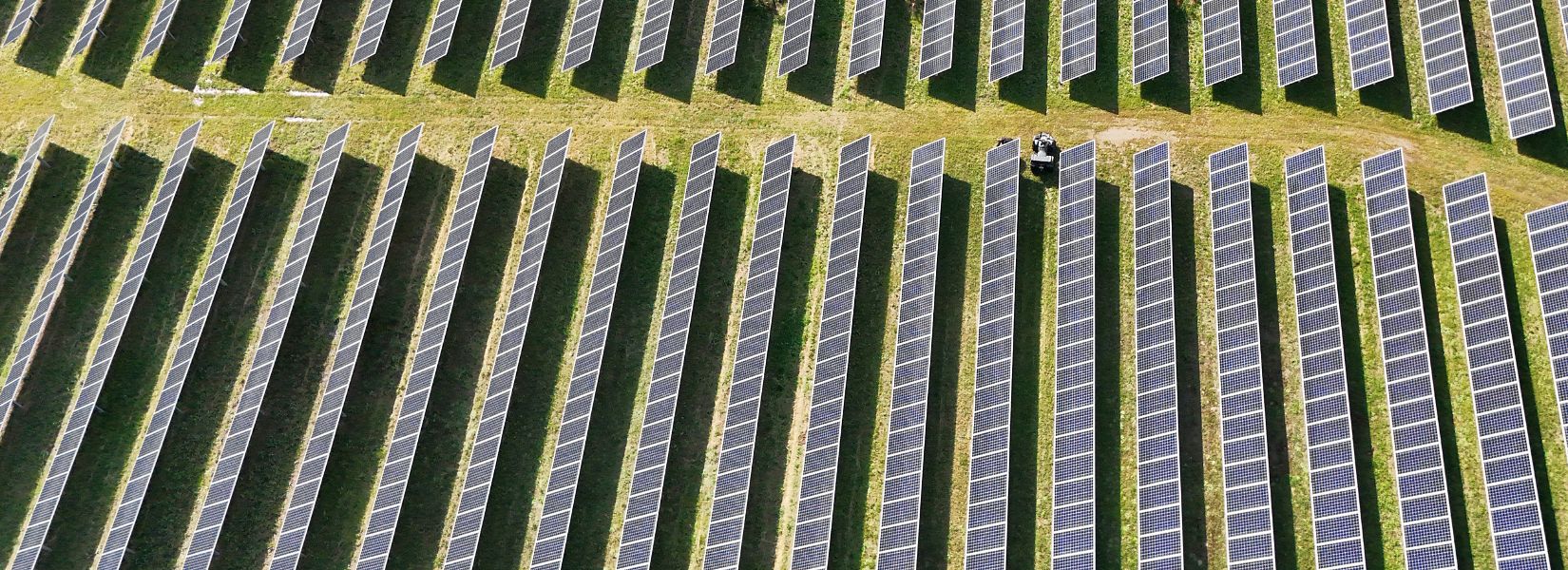 Centrale solaire de Venaco, en Corse