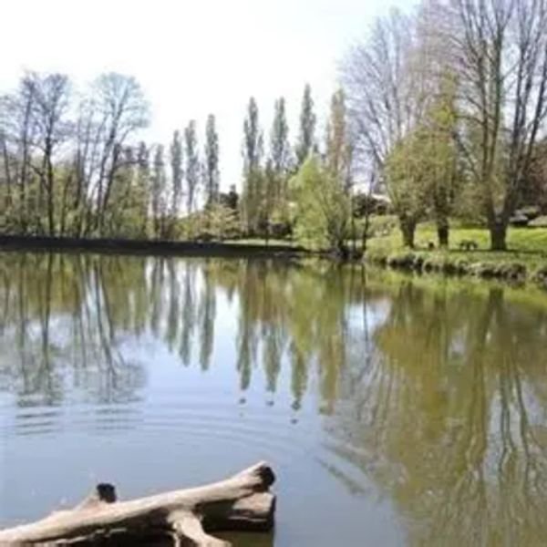 PLACE FOCH