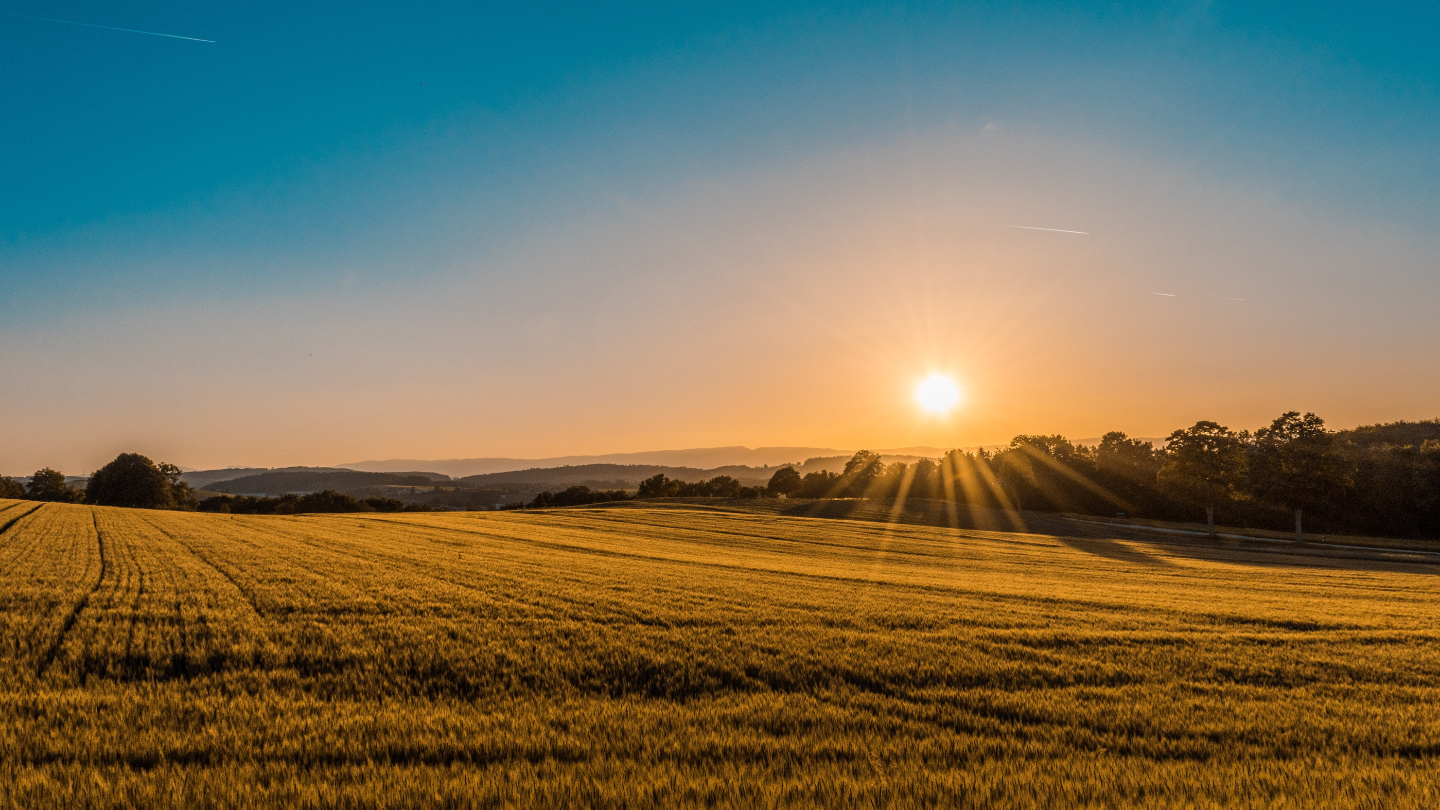 Le Printemps des Terres Foncière